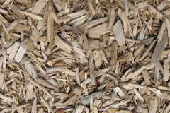 biomass boilers Flitcham